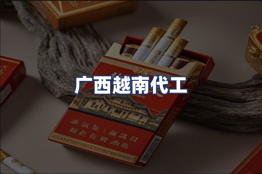 广西越南代工